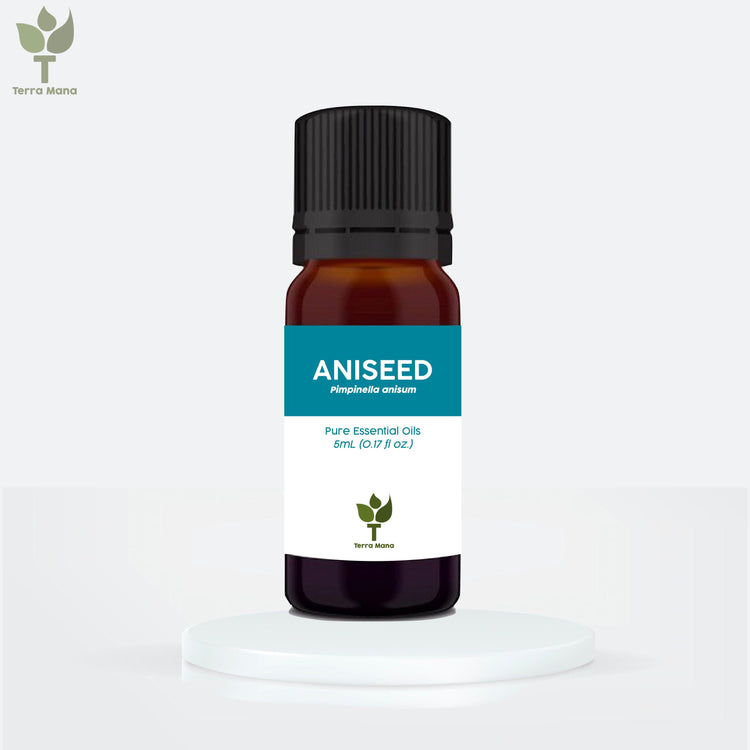 Aniseed Essential Oil