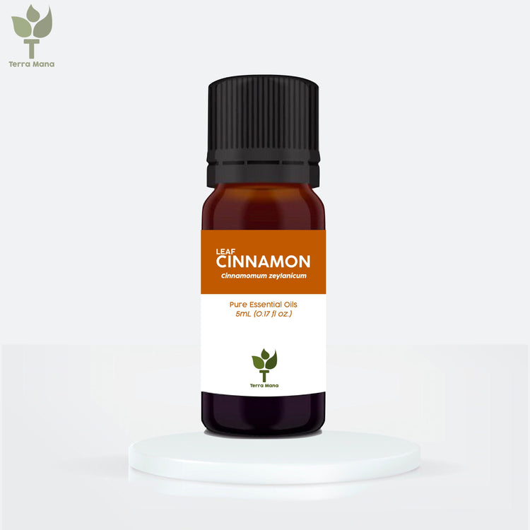Cinnamon Essential Oil