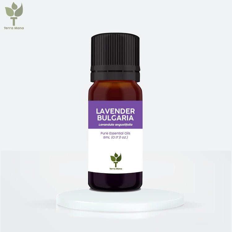 Lavender Bulgaria Essential Oil