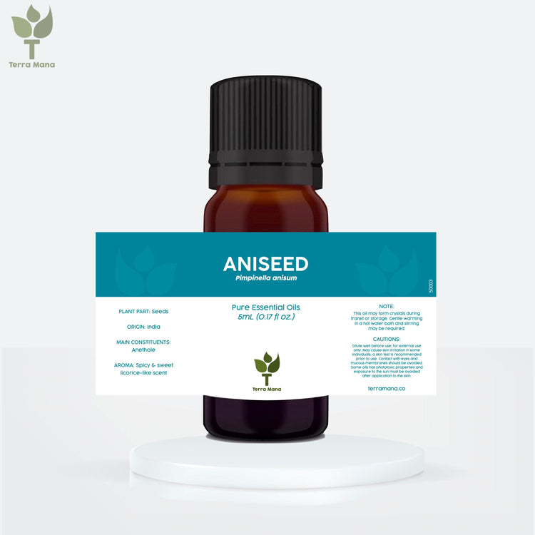 Aniseed Essential Oil