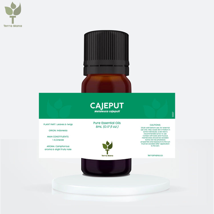 Cajeput Essential Oil