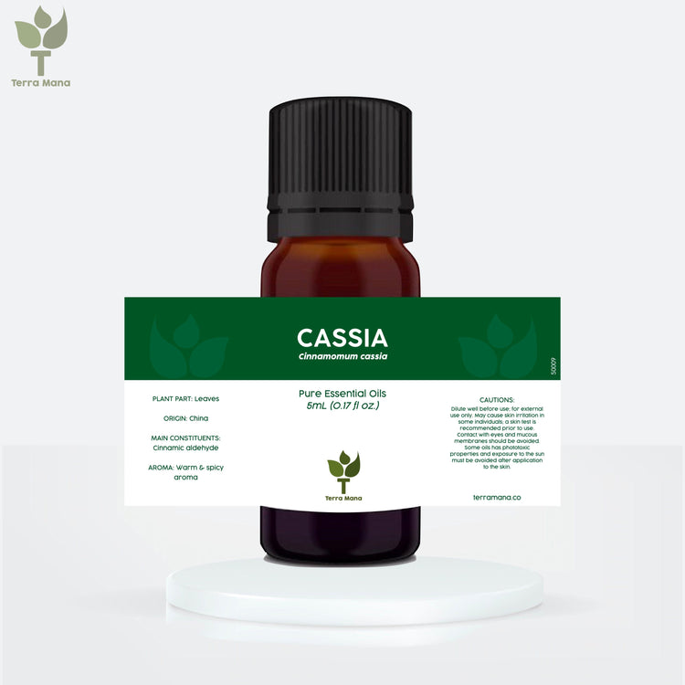 Cassia Essential Oil