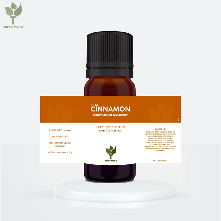 Cinnamon Essential Oil