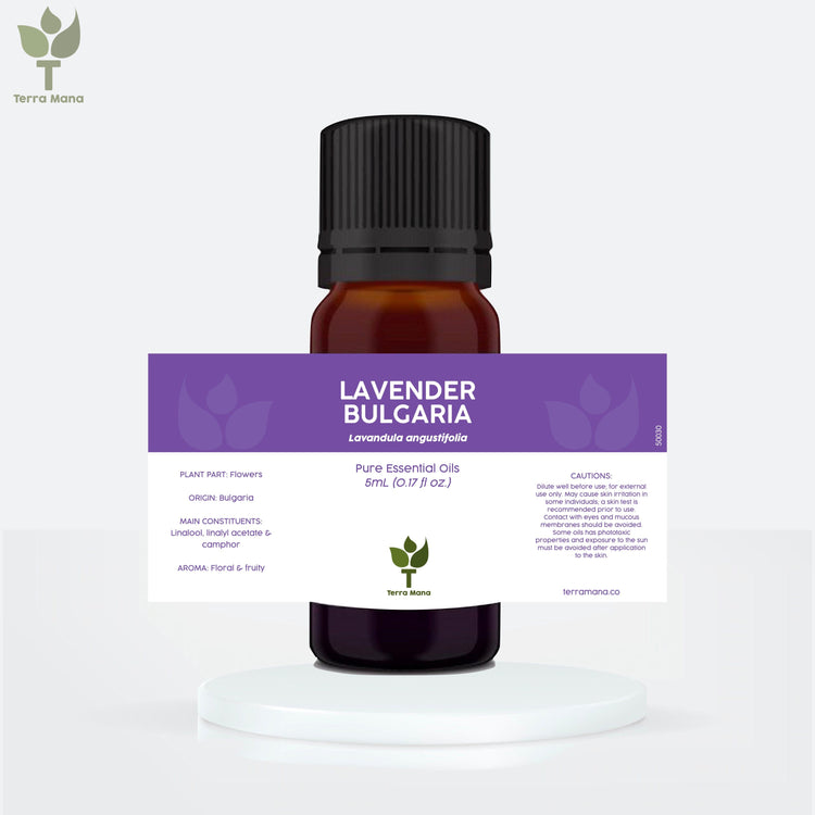 Lavender Bulgaria Essential Oil