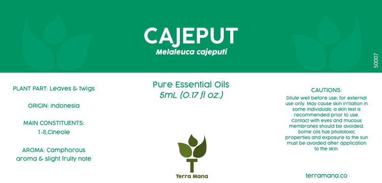 Cajeput Essential Oil