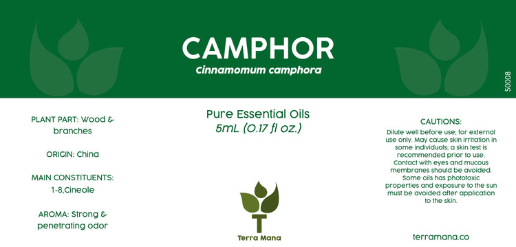 Camphor Essential Oil