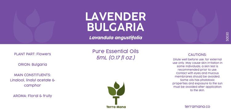 Lavender Bulgaria Essential Oil