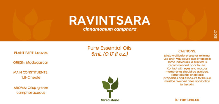 Ravintsara Essential Oil