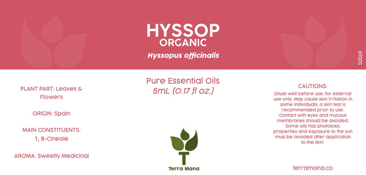Hyssop Essential Oil