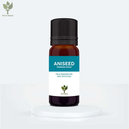 Aniseed Essential Oil