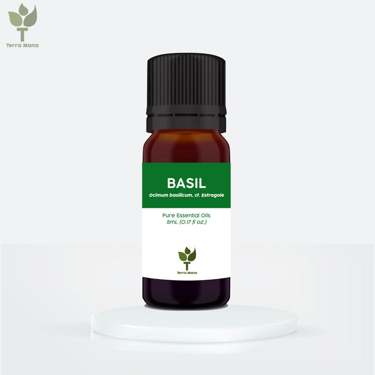 Basil Essential Oil