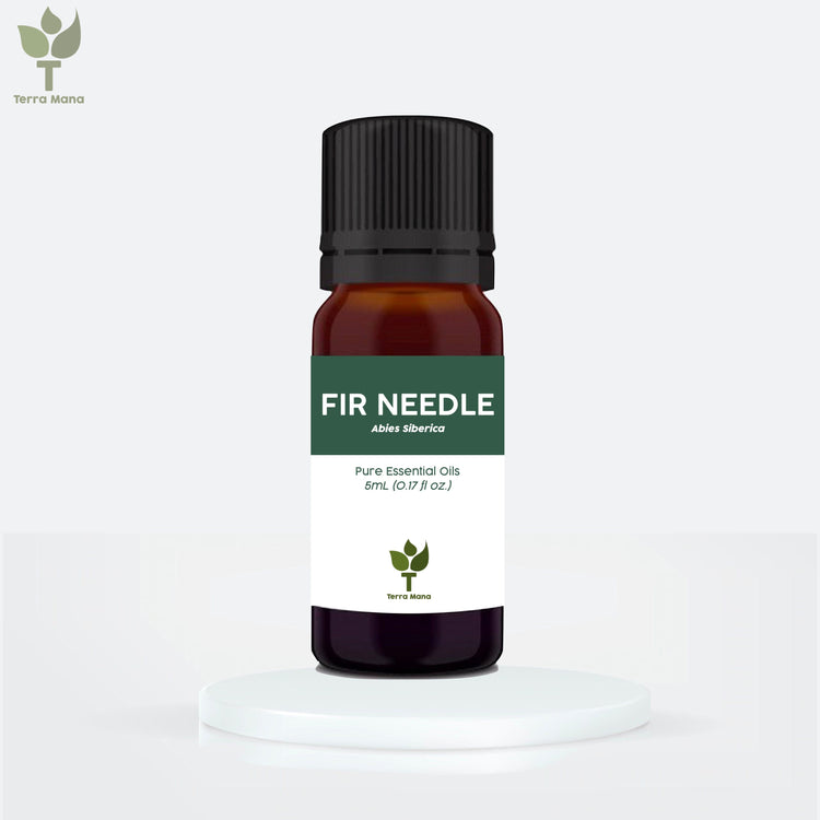 Fir Needle Essential Oil