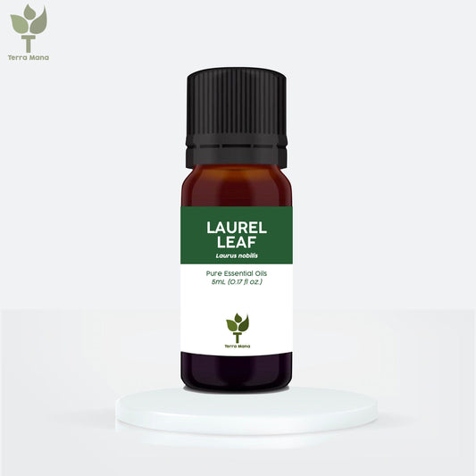 Laurel Leaf Essential Oil