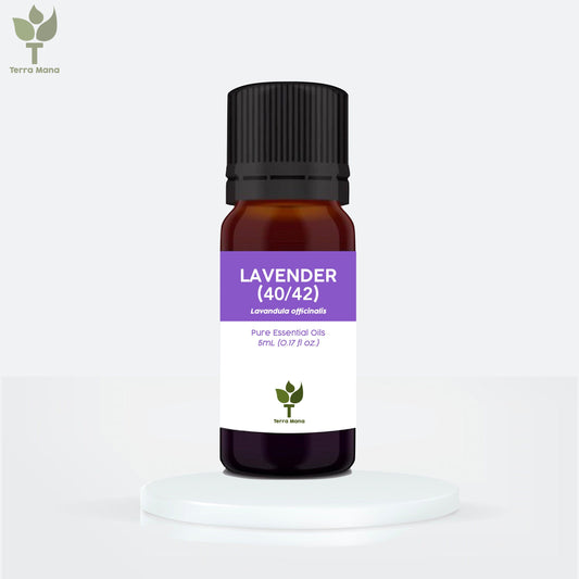 Lavender 40/42 Essential Oil