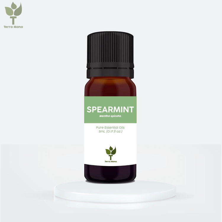 Spearmint Essential Oil