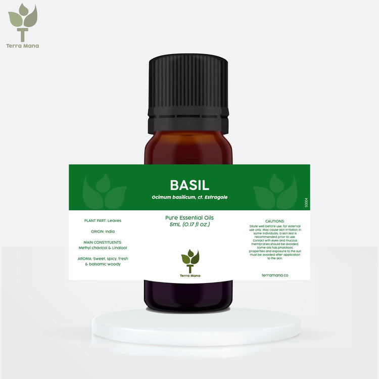 Basil Essential Oil