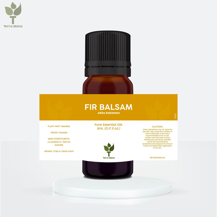 Fir Balsam Essential Oil