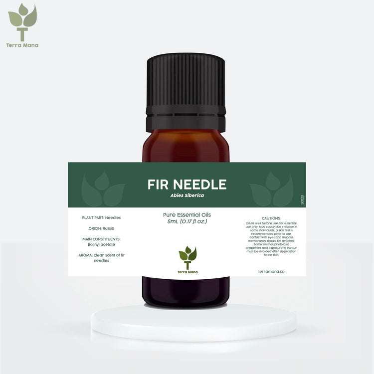 Fir Needle Essential Oil