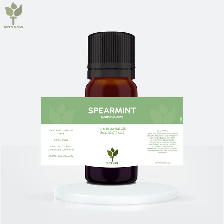 Spearmint Essential Oil