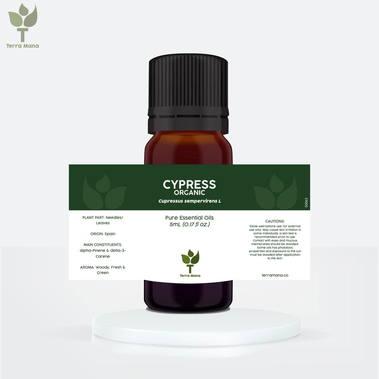 Cypress Essential Oil