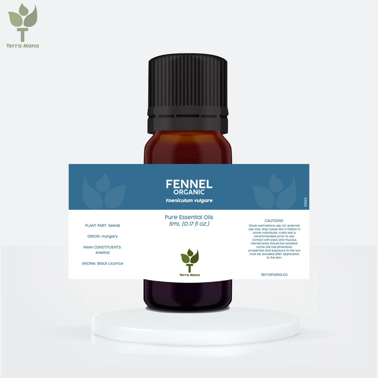 Fennel Essential Oil