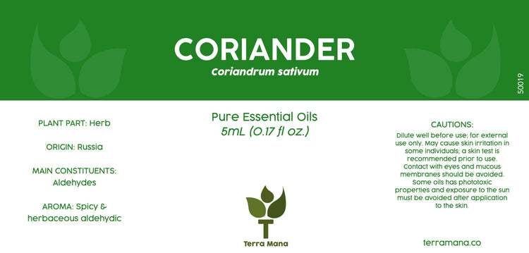 Coriander Essential Oil