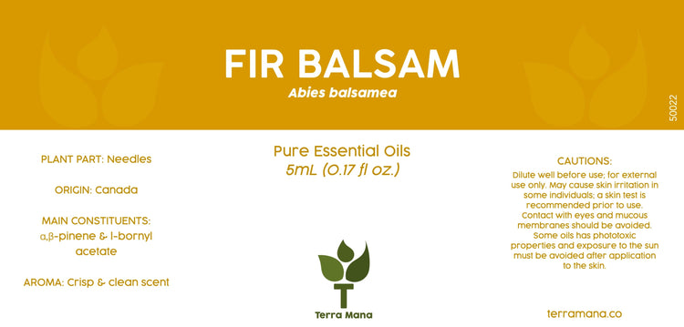 Fir Balsam Essential Oil