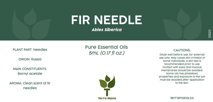 Fir Needle Essential Oil