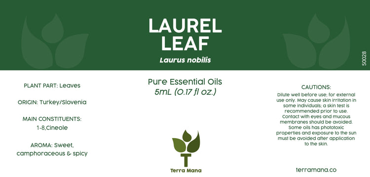 Laurel Leaf Essential Oil