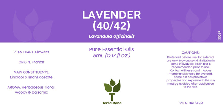 Lavender 40/42 Essential Oil