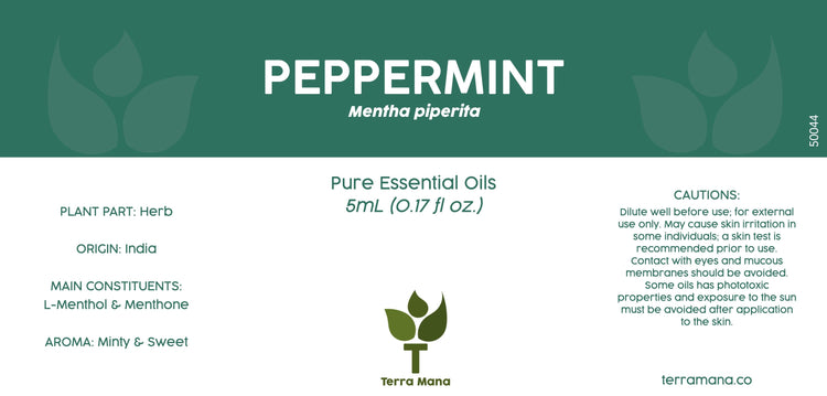 Peppermint Essential Oil