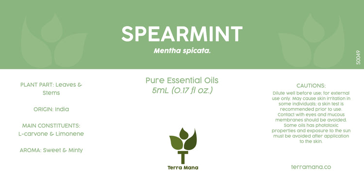 Spearmint Essential Oil