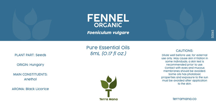 Fennel Essential Oil